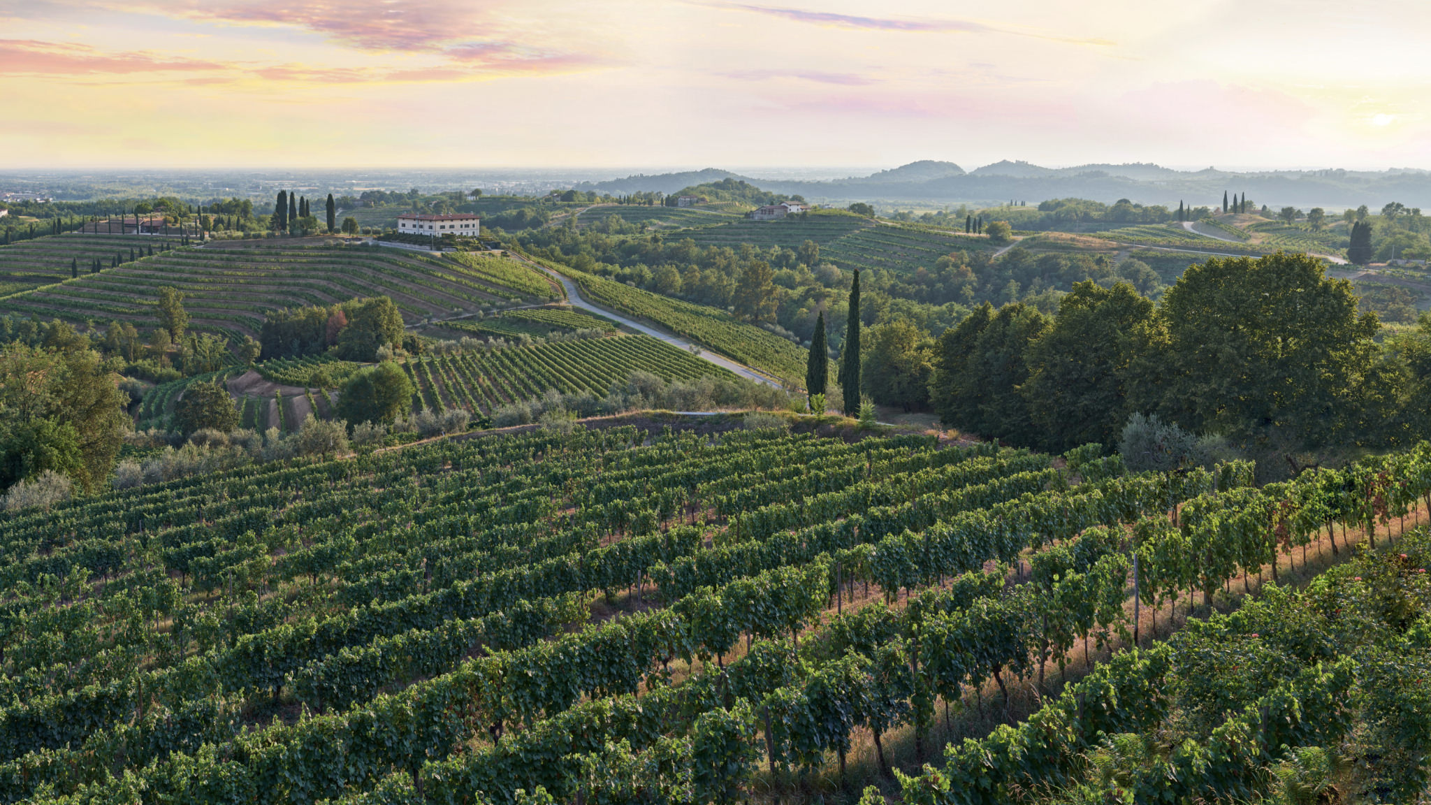 Fotografie Gigapixel Friuli Venezia Giulia